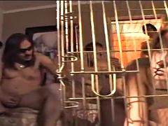 Gangbang: Blowjob, Babe Fansly Porn