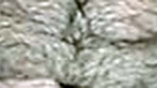 Amante en el camino: lubricante y un teléfono inteligente, sexo amateur duro de WMAF en la habitación roja