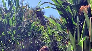 Riley Reid แฟนใหม่สุดฮอตรั่วไหลออกมา TEEN BABE