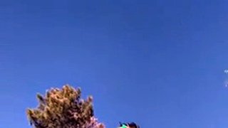 piccola torta di neve che cammina nuda in pubblico