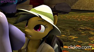 MLP 50/50 FUTA SUPER 32 CDVreus