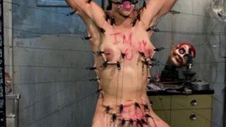 Sissification | Θηλυκοποίηση | εραστής | Γυναικεία κυριαρχία | Dominatrix | Σύνδεση | Αγνότητα | πασχαλίτσα | Πόδι | Πόδια | Μόνο οπαδοί