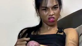 GALO GRANDE MENINA LADYBOY