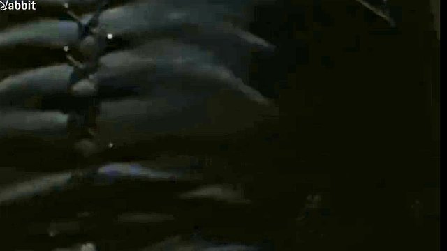 Hot slut Valeria Solarino gets all wet in the bed