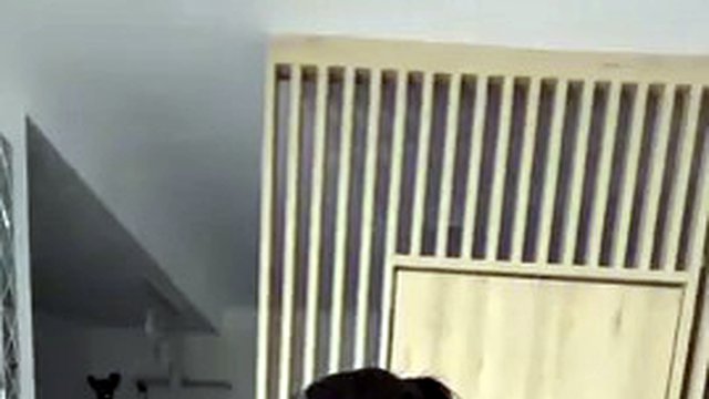 Gra w sutki dla zabawy-amatorskiej pary-nysdel