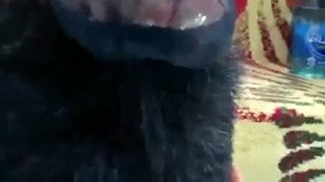 Foot gagging mega deep