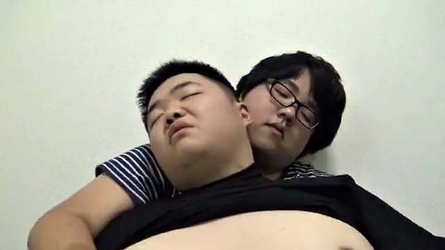 Chubby Japanese Bear