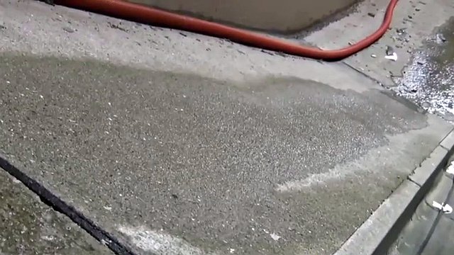 Piccola cagna asiatica cattiva vuole fare pipì per strada