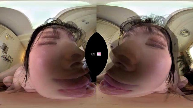 test mdvrC