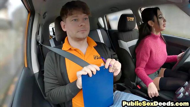 POV에서 큰 쿠거의 쿠거가 든다