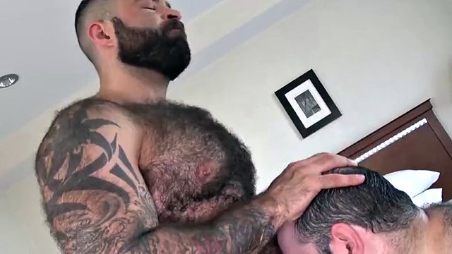 BEARFILMS Fat Bear Ivan Romanov Bred By Hairy Atlas Grant