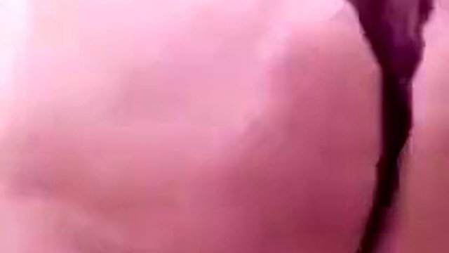 Arabic Egyptian tango live
