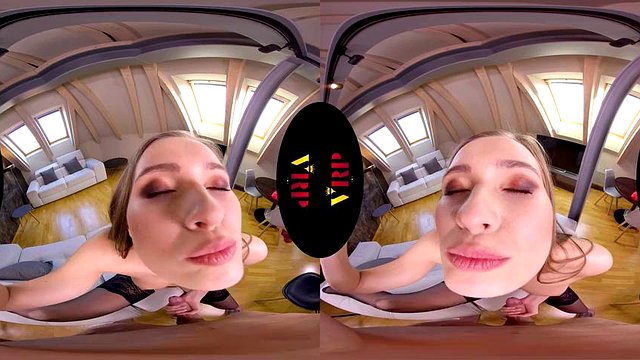 6356356: Blowjob, Doggy & Cowgirl VR Porn