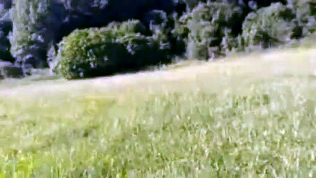 人前で裸に縛られた従順な妻