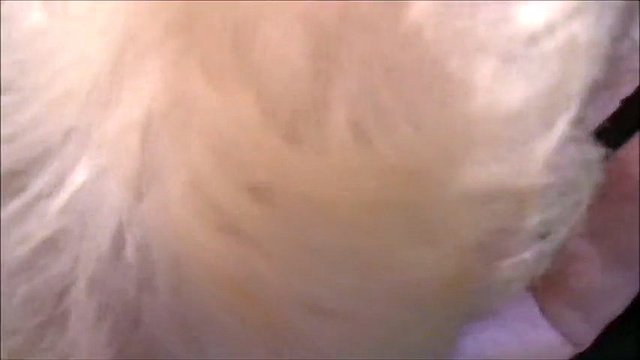 down the hatch - watch me swallow