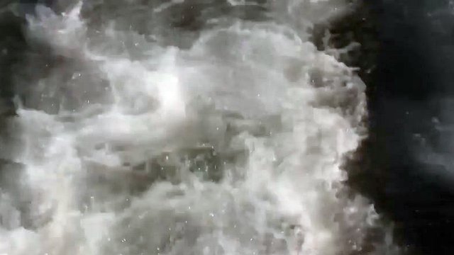Los aficionados hacen una fiesta regular en la playa en una orgía salvaje