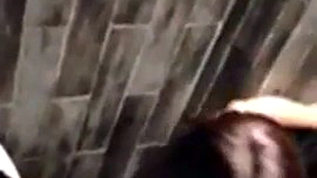 ktv homemade video bathroom sex