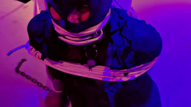 Sissy captivity