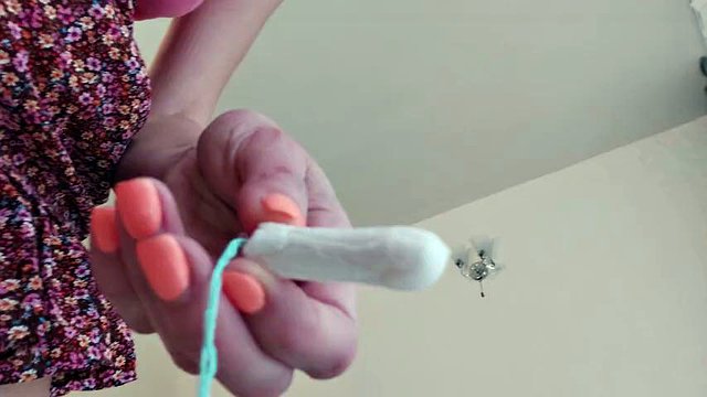 Changer une éponge Gros plan d'une chatte poilue