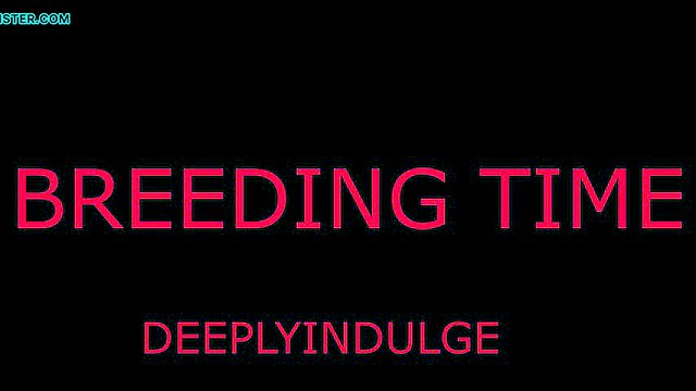 BREAKING TIME FOR YOUR TIGHT PUSSY. DADDY dominates and breeds you hard